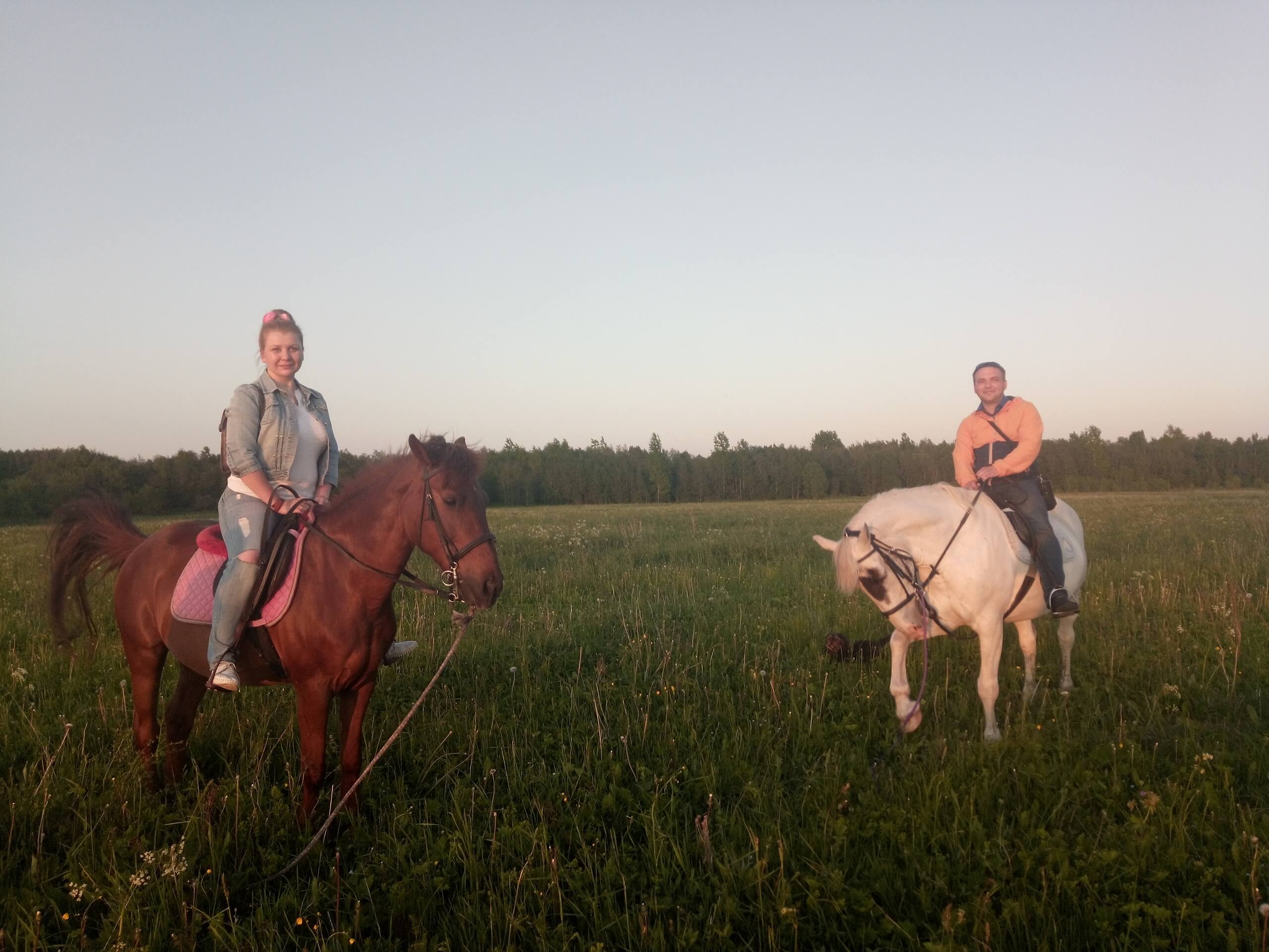Прогулка на лошадях для двоих в Санкт-Петербурге