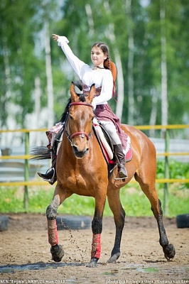 Обучение верховой езде в Санкт-Петербурге. Сервис Ultra Подарки. Купить обучение верховой езде в Санкт-Петербурге. Вы сможете попробовать курс по верховой езде и конные прогулки. Сервис UltraPodarki.ru 8 800 505 95 30. Обучение верховой езде, верховая езда в Санкт-Петербурге, верховая езда Санкт-Петербург, конный спорт, уроки верховой езды, школа верховой езды, конные прогулки, верховая езда, школа верховой езды в Санкт-Петербурге, конные прогулки в Санкт-Петербурге, обучение верховой езде в Санкт-Петербурге, конный спорт в Санкт-Петербурге, уроки верховой езды в Санкт-Петербурге