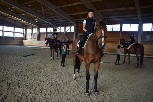 Обучение верховой езде в Санкт-Петербурге. Сервис Ultra Подарки. Купить обучение верховой езде в Санкт-Петербурге. Вы сможете попробовать курс по верховой езде и конные прогулки. Сервис UltraPodarki.ru 8 800 505 95 30. Обучение верховой езде, верховая езда в Санкт-Петербурге, верховая езда Санкт-Петербург, конный спорт, уроки верховой езды, школа верховой езды, конные прогулки, верховая езда, школа верховой езды в Санкт-Петербурге, конные прогулки в Санкт-Петербурге, обучение верховой езде в Санкт-Петербурге, конный спорт в Санкт-Петербурге, уроки верховой езды в Санкт-Петербурге