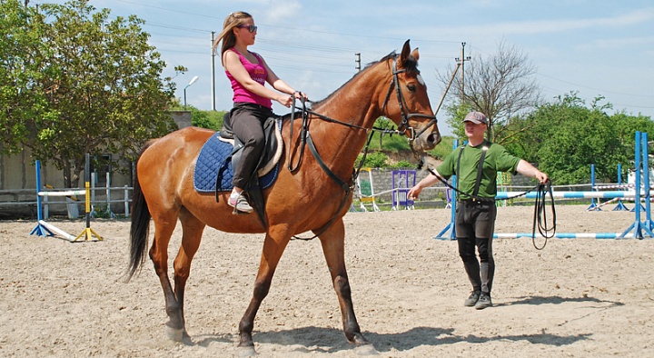 Обучение верховой езде в Санкт-Петербурге. Сервис Ultra Подарки. Купить обучение верховой езде в Санкт-Петербурге. Вы сможете попробовать курс по верховой езде и конные прогулки. Сервис UltraPodarki.ru 8 800 505 95 30. Обучение верховой езде, верховая езда в Санкт-Петербурге, верховая езда Санкт-Петербург, конный спорт, уроки верховой езды, школа верховой езды, конные прогулки, верховая езда, школа верховой езды в Санкт-Петербурге, конные прогулки в Санкт-Петербурге, обучение верховой езде в Санкт-Петербурге, конный спорт в Санкт-Петербурге, уроки верховой езды в Санкт-Петербурге