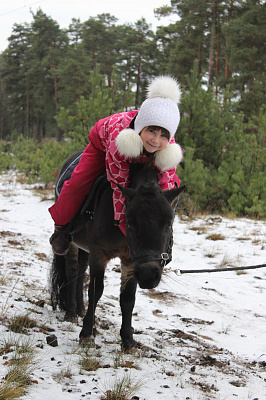 Конная прогулка в Санкт-Петербурге. Подарочные сертификаты Ultra Подарки. Купить оригинальный подарок или подарочный сертификат на Конная прогулка в Санкт-Петербурге. Сервис UltraPodarki.ru 8-800-505-9530. Катание на лошадях, Прогулка на лошади, Прогулка на лошадях для двоих, Конная прогулка, конный клуб, Конный клуб, конная прогулка, конная прогулка в Санкт-Петербурге