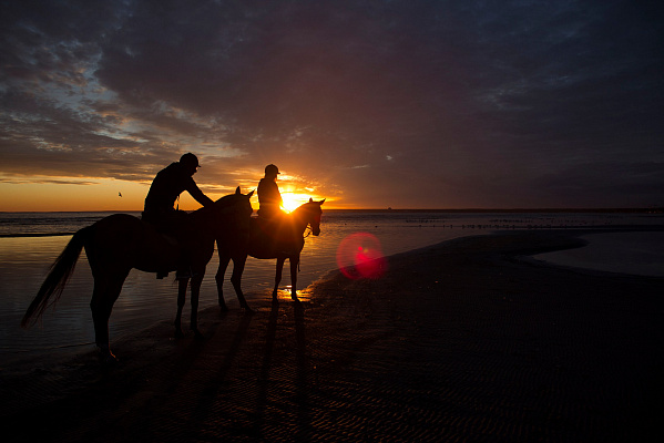 Конная прогулка в Санкт-Петербурге. Подарочные сертификаты Ultra Подарки. Купить оригинальный подарок или подарочный сертификат на Конная прогулка в Санкт-Петербурге. Сервис UltraPodarki.ru 8-800-505-9530. Катание на лошадях, Прогулка на лошади, Прогулка на лошадях для двоих, Конная прогулка, конный клуб, Конный клуб, конная прогулка, конная прогулка в Санкт-Петербурге