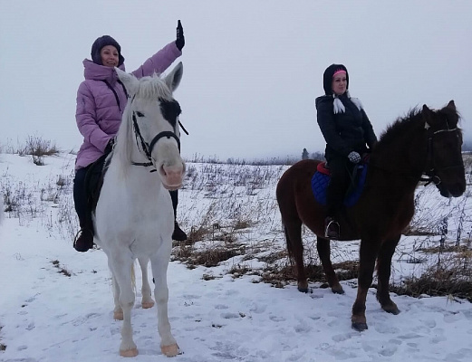 Конная прогулка в Санкт-Петербурге. Подарочные сертификаты Ultra Подарки. Купить оригинальный подарок или подарочный сертификат на Конная прогулка в Санкт-Петербурге. Сервис UltraPodarki.ru 8-800-505-9530. Катание на лошадях, Прогулка на лошади, Прогулка на лошадях для двоих, Конная прогулка, конный клуб, Конный клуб, конная прогулка, конная прогулка в Санкт-Петербурге