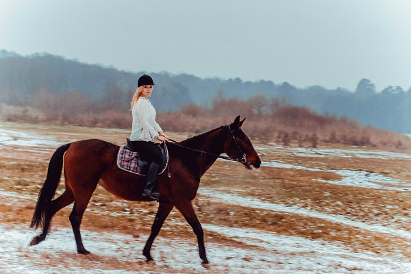 Конная прогулка в Санкт-Петербурге. Подарочные сертификаты Ultra Подарки. Купить оригинальный подарок или подарочный сертификат на Конная прогулка в Санкт-Петербурге. Сервис UltraPodarki.ru 8-800-505-9530. Катание на лошадях, Прогулка на лошади, Прогулка на лошадях для двоих, Конная прогулка, конный клуб, Конный клуб, конная прогулка, конная прогулка в Санкт-Петербурге
