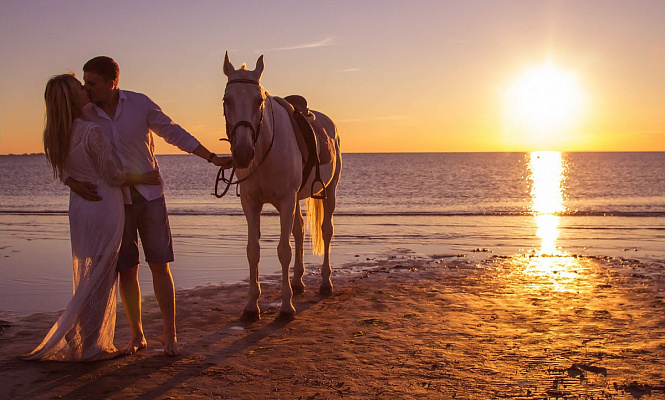 Конная прогулка в Санкт-Петербурге. Подарочные сертификаты Ultra Подарки. Купить оригинальный подарок или подарочный сертификат на Конная прогулка в Санкт-Петербурге. Сервис UltraPodarki.ru 8-800-505-9530. Катание на лошадях, Прогулка на лошади, Прогулка на лошадях для двоих, Конная прогулка, конный клуб, Конный клуб, конная прогулка, конная прогулка в Санкт-Петербурге