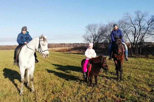 Конная прогулка в Санкт-Петербурге. Подарочные сертификаты Ultra Подарки. Купить оригинальный подарок или подарочный сертификат на Конная прогулка в Санкт-Петербурге. Сервис UltraPodarki.ru 8-800-505-9530. Катание на лошадях, Прогулка на лошади, Прогулка на лошадях для двоих, Конная прогулка, конный клуб, Конный клуб, конная прогулка, конная прогулка в Санкт-Петербурге