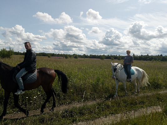 Уроки верховой езды в Санкт-Петербурге. Подарочные сертификаты Ultra Подарки. Купить оригинальный подарок или подарочный сертификат на Уроки верховой езды в Санкт-Петербурге. Сервис UltraPodarki.ru 8-800-505-9530. Катание на лошадях, Прогулка на лошади, Прогулка на лошадях для двоих, Уроки верховой езды, конный клуб, Конный клуб, конная прогулка, конная прогулка в Санкт-Петербурге