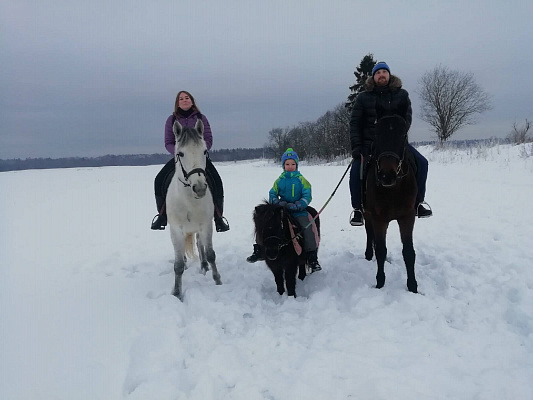 Конная прогулка в Санкт-Петербурге. Подарочные сертификаты Ultra Подарки. Купить оригинальный подарок или подарочный сертификат на Конная прогулка в Санкт-Петербурге. Сервис UltraPodarki.ru 8-800-505-9530. Катание на лошадях, Прогулка на лошади, Прогулка на лошадях для двоих, Конная прогулка, конный клуб, Конный клуб, конная прогулка, конная прогулка в Санкт-Петербурге