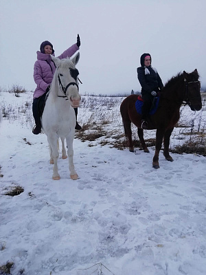 Уроки верховой езды в Санкт-Петербурге. Подарочные сертификаты Ultra Подарки. Купить оригинальный подарок или подарочный сертификат на Уроки верховой езды в Санкт-Петербурге. Сервис UltraPodarki.ru 8-800-505-9530. Катание на лошадях, Прогулка на лошади, Прогулка на лошадях для двоих, Уроки верховой езды, конный клуб, Конный клуб, конная прогулка, конная прогулка в Санкт-Петербурге