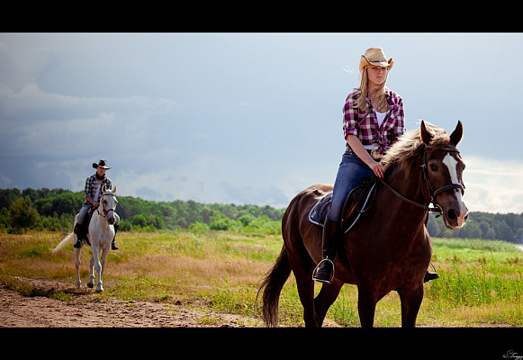 Конная прогулка в Санкт-Петербурге. Подарочные сертификаты Ultra Подарки. Купить оригинальный подарок или подарочный сертификат на Конная прогулка в Санкт-Петербурге. Сервис UltraPodarki.ru 8-800-505-9530. Катание на лошадях, Прогулка на лошади, Прогулка на лошадях для двоих, Конная прогулка, конный клуб, Конный клуб, конная прогулка, конная прогулка в Санкт-Петербурге