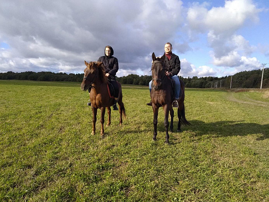 Уроки верховой езды в Санкт-Петербурге. Подарочные сертификаты Ultra Подарки. Купить оригинальный подарок или подарочный сертификат на Уроки верховой езды в Санкт-Петербурге. Сервис UltraPodarki.ru 8-800-505-9530. Катание на лошадях, Прогулка на лошади, Прогулка на лошадях для двоих, Уроки верховой езды, конный клуб, Конный клуб, конная прогулка, конная прогулка в Санкт-Петербурге