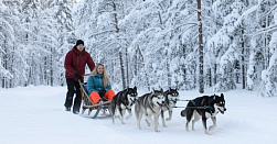 Катание на хаски