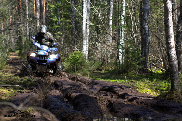 Прокат квадроциклов летом в Санкт-Петербурге. Сервис Ultra Подарки. Подарочный сертификат на прокат квадроциклов летом и зимой в Санкт-Петербурге. Закажите катание на квадроциклах недорого и наслаждайтесь активным отдыхом с друзьями. Выбирайте живописные маршруты для езды на квадроциклах. Сервис UltraPodarki.ru 8800-505-9530. Катание на квадроциклах, Прокат квадроциклов, езда на квадроцикле, прокат квадроциклов Санкт-Петербург, катание на квадроциклах Санкт-Петербург, Катание на квадроциклах зимой, Катание на квадроциклах летом, Сертификат на катание на квадроциклах 


