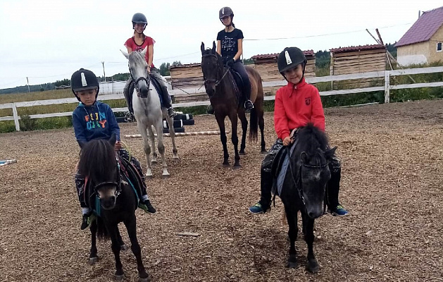 Конная прогулка в Санкт-Петербурге. Подарочные сертификаты Ultra Подарки. Купить оригинальный подарок или подарочный сертификат на Конная прогулка в Санкт-Петербурге. Сервис UltraPodarki.ru 8-800-505-9530. Катание на лошадях, Прогулка на лошади, Прогулка на лошадях для двоих, Конная прогулка, конный клуб, Конный клуб, конная прогулка, конная прогулка в Санкт-Петербурге