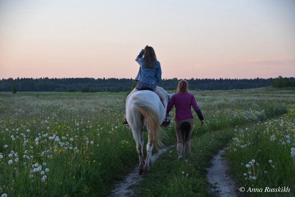 Конная прогулка в Санкт-Петербурге. Подарочные сертификаты Ultra Подарки. Купить оригинальный подарок или подарочный сертификат на Конная прогулка в Санкт-Петербурге. Сервис UltraPodarki.ru 8-800-505-9530. Катание на лошадях, Прогулка на лошади, Прогулка на лошадях для двоих, Конная прогулка, конный клуб, Конный клуб, конная прогулка, конная прогулка в Санкт-Петербурге