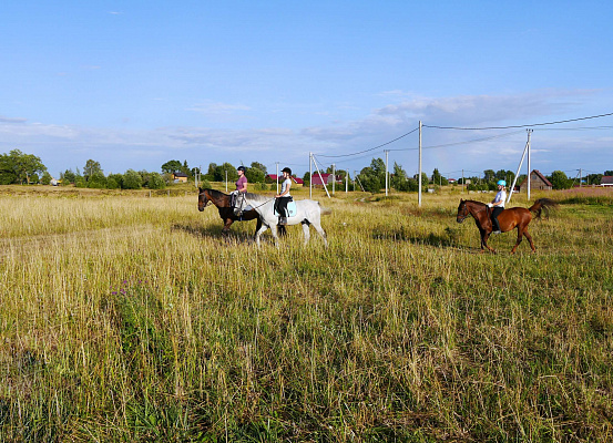 Уроки верховой езды в Санкт-Петербурге. Подарочные сертификаты Ultra Подарки. Купить оригинальный подарок или подарочный сертификат на Уроки верховой езды в Санкт-Петербурге. Сервис UltraPodarki.ru 8-800-505-9530. Катание на лошадях, Прогулка на лошади, Прогулка на лошадях для двоих, Уроки верховой езды, конный клуб, Конный клуб, конная прогулка, конная прогулка в Санкт-Петербурге