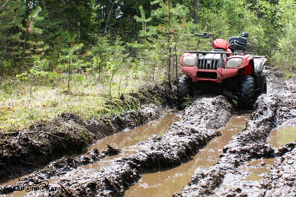 Прокат квадроциклов летом в Санкт-Петербурге. Сервис Ultra Подарки. Подарочный сертификат на прокат квадроциклов летом и зимой в Санкт-Петербурге. Закажите катание на квадроциклах недорого и наслаждайтесь активным отдыхом с друзьями. Выбирайте живописные маршруты для езды на квадроциклах. Сервис UltraPodarki.ru 8800-505-9530. Катание на квадроциклах, Прокат квадроциклов, езда на квадроцикле, прокат квадроциклов Санкт-Петербург, катание на квадроциклах Санкт-Петербург, Катание на квадроциклах зимой, Катание на квадроциклах летом, Сертификат на катание на квадроциклах 


