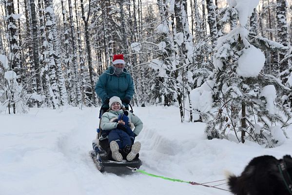 Катание на хаски в Санкт-Петербурге. Ultra Подарки. Катание на хаски в Санкт-Петербурге. Попробуйте Катание на хаски. Сервис: UltraPodarki.ru 8 800 505 95 30. Катание на хаски Санкт-Петербург, Катание на хаски в Санкт-Петербурге, хаски, животные в Санкт-Петербурге, 