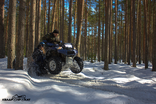 Прокат квадроциклов летом в Санкт-Петербурге. Сервис Ultra Подарки. Подарочный сертификат на прокат квадроциклов летом и зимой в Санкт-Петербурге. Закажите катание на квадроциклах недорого и наслаждайтесь активным отдыхом с друзьями. Выбирайте живописные маршруты для езды на квадроциклах. Сервис UltraPodarki.ru 8800-505-9530. Катание на квадроциклах, Прокат квадроциклов, езда на квадроцикле, прокат квадроциклов Санкт-Петербург, катание на квадроциклах Санкт-Петербург, Катание на квадроциклах зимой, Катание на квадроциклах летом, Сертификат на катание на квадроциклах 

