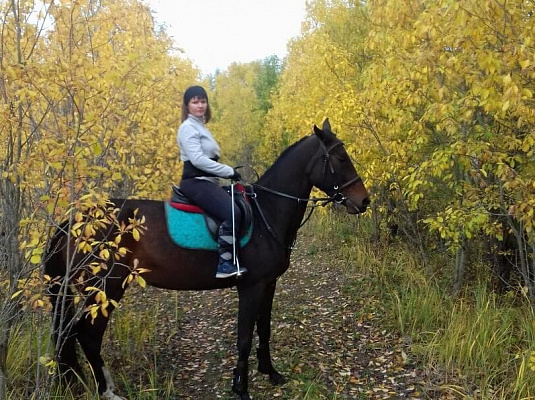 Конная прогулка в Санкт-Петербурге. Подарочные сертификаты Ultra Подарки. Купить оригинальный подарок или подарочный сертификат на Конная прогулка в Санкт-Петербурге. Сервис UltraPodarki.ru 8-800-505-9530. Катание на лошадях, Прогулка на лошади, Прогулка на лошадях для двоих, Конная прогулка, конный клуб, Конный клуб, конная прогулка, конная прогулка в Санкт-Петербурге