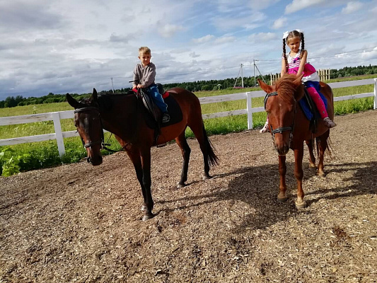 Конная прогулка в Санкт-Петербурге. Подарочные сертификаты Ultra Подарки. Купить оригинальный подарок или подарочный сертификат на Конная прогулка в Санкт-Петербурге. Сервис UltraPodarki.ru 8-800-505-9530. Катание на лошадях, Прогулка на лошади, Прогулка на лошадях для двоих, Конная прогулка, конный клуб, Конный клуб, конная прогулка, конная прогулка в Санкт-Петербурге