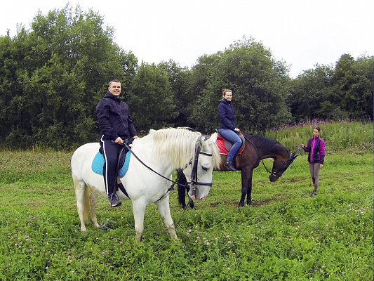 Уроки верховой езды в Санкт-Петербурге. Подарочные сертификаты Ultra Подарки. Купить оригинальный подарок или подарочный сертификат на Уроки верховой езды в Санкт-Петербурге. Сервис UltraPodarki.ru 8-800-505-9530. Катание на лошадях, Прогулка на лошади, Прогулка на лошадях для двоих, Уроки верховой езды, конный клуб, Конный клуб, конная прогулка, конная прогулка в Санкт-Петербурге