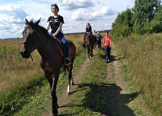 Конная прогулка в Санкт-Петербурге. Подарочные сертификаты Ultra Подарки. Купить оригинальный подарок или подарочный сертификат на Конная прогулка в Санкт-Петербурге. Сервис UltraPodarki.ru 8-800-505-9530. Катание на лошадях, Прогулка на лошади, Прогулка на лошадях для двоих, Конная прогулка, конный клуб, Конный клуб, конная прогулка, конная прогулка в Санкт-Петербурге