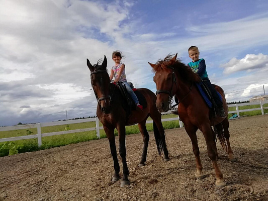 Уроки верховой езды в Санкт-Петербурге. Подарочные сертификаты Ultra Подарки. Купить оригинальный подарок или подарочный сертификат на Уроки верховой езды в Санкт-Петербурге. Сервис UltraPodarki.ru 8-800-505-9530. Катание на лошадях, Прогулка на лошади, Прогулка на лошадях для двоих, Уроки верховой езды, конный клуб, Конный клуб, конная прогулка, конная прогулка в Санкт-Петербурге
