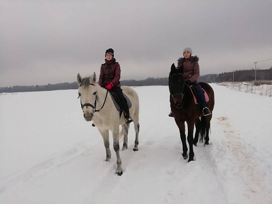 Уроки верховой езды в Санкт-Петербурге. Подарочные сертификаты Ultra Подарки. Купить оригинальный подарок или подарочный сертификат на Уроки верховой езды в Санкт-Петербурге. Сервис UltraPodarki.ru 8-800-505-9530. Катание на лошадях, Прогулка на лошади, Прогулка на лошадях для двоих, Уроки верховой езды, конный клуб, Конный клуб, конная прогулка, конная прогулка в Санкт-Петербурге