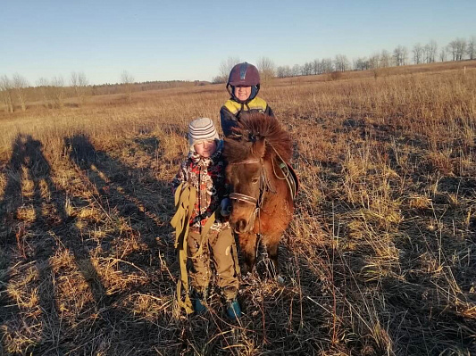 Конная прогулка в Санкт-Петербурге. Подарочные сертификаты Ultra Подарки. Купить оригинальный подарок или подарочный сертификат на Конная прогулка в Санкт-Петербурге. Сервис UltraPodarki.ru 8-800-505-9530. Катание на лошадях, Прогулка на лошади, Прогулка на лошадях для двоих, Конная прогулка, конный клуб, Конный клуб, конная прогулка, конная прогулка в Санкт-Петербурге