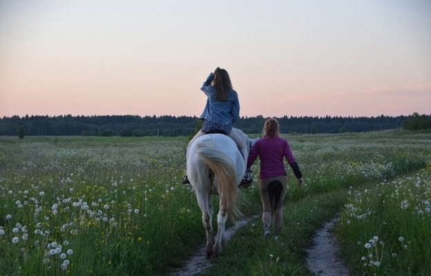 Конная прогулка в Санкт-Петербурге. Подарочные сертификаты Ultra Подарки. Купить оригинальный подарок или подарочный сертификат на Конная прогулка в Санкт-Петербурге. Сервис UltraPodarki.ru 8-800-505-9530. Катание на лошадях, Прогулка на лошади, Прогулка на лошадях для двоих, Конная прогулка, конный клуб, Конный клуб, конная прогулка, конная прогулка в Санкт-Петербурге