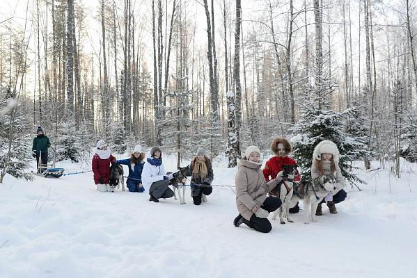 Катание на хаски в Санкт-Петербурге. Ultra Подарки. Катание на хаски в Санкт-Петербурге. Попробуйте Катание на хаски. Сервис: UltraPodarki.ru 8 800 505 95 30. Катание на хаски Санкт-Петербург, Катание на хаски в Санкт-Петербурге, хаски, животные в Санкт-Петербурге, 