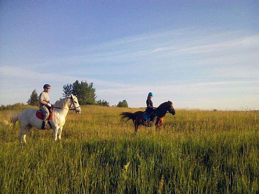 Конная прогулка в Санкт-Петербурге. Подарочные сертификаты Ultra Подарки. Купить оригинальный подарок или подарочный сертификат на Конная прогулка в Санкт-Петербурге. Сервис UltraPodarki.ru 8-800-505-9530. Катание на лошадях, Прогулка на лошади, Прогулка на лошадях для двоих, Конная прогулка, конный клуб, Конный клуб, конная прогулка, конная прогулка в Санкт-Петербурге