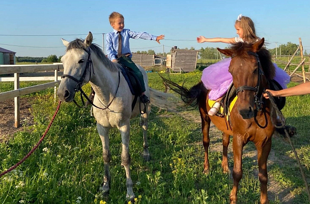 Уроки верховой езды в Санкт-Петербурге. Подарочные сертификаты Ultra Подарки. Купить оригинальный подарок или подарочный сертификат на Уроки верховой езды в Санкт-Петербурге. Сервис UltraPodarki.ru 8-800-505-9530. Катание на лошадях, Прогулка на лошади, Прогулка на лошадях для двоих, Уроки верховой езды, конный клуб, Конный клуб, конная прогулка, конная прогулка в Санкт-Петербурге